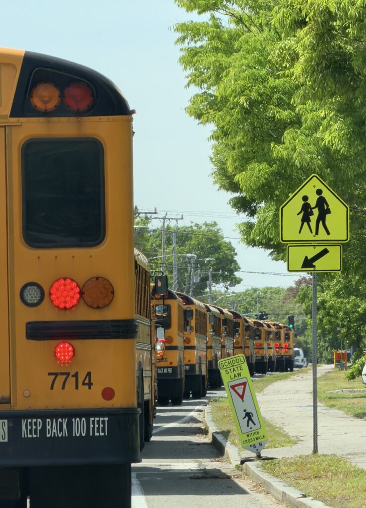 A line of yellow school buses travels along a tree-lined road beside a fluorescent pedestrian crossing sign.